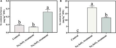 Integrative Transcriptome and Proteome Analysis Reveals the Absorption and Metabolism of Selenium in Tea Plants [Camellia sinensis (L.) O. Kuntze]